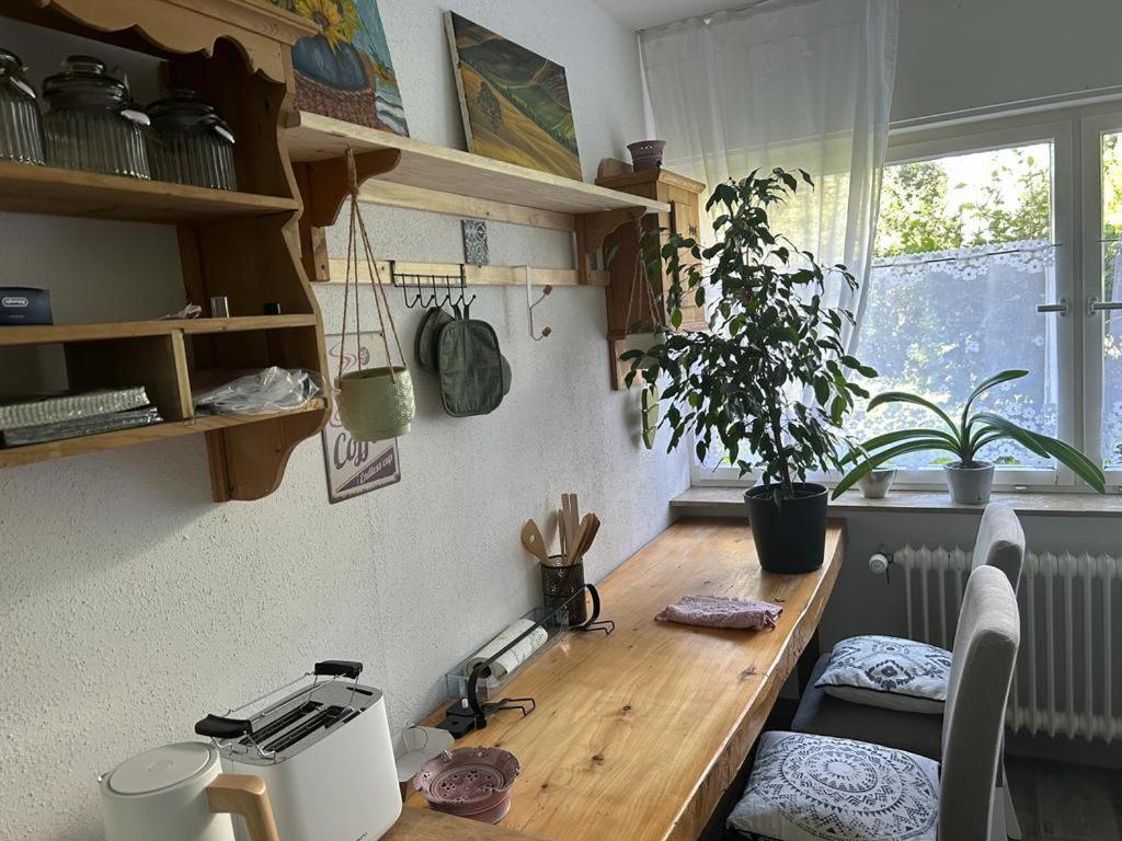 Ferienwohnung An Der Loipe Lichtenstein  Экстерьер фото